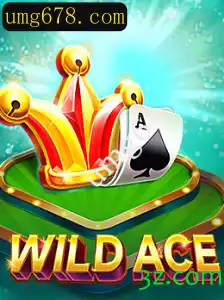 Tudo o Que Você Precisa Saber Sobre o Jogo WildAce